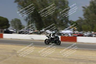 media/Sep-07-2024-Pacific Track Time (Sat) [[9bb89f5e83]]/C group/Front Straight 1240pm/